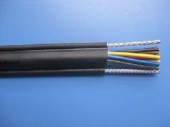 RVV1G/RVV2G电动葫芦钢丝电缆