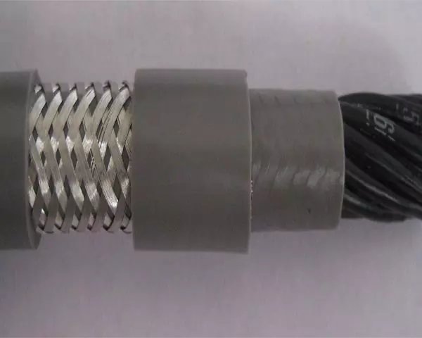 TRVVP-K  TRVQ-K TRVQP-K TREQ-K TREQP-K TRVV-S TRVVP-S TRVV-K ĥ