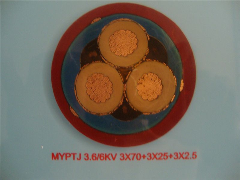 MYPTJ 3.6/6KV 3*70+3*25+3*2.5úõ