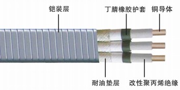 QYPN钢带铠装扁形潜油泵电力电缆