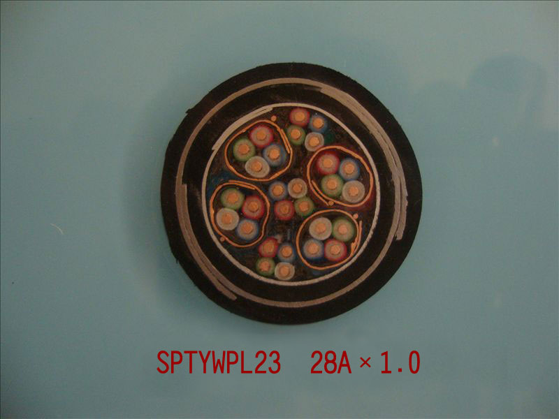 SPTYWPL23 28A*1.0 ��������·�����źŵ���