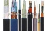 硅橡胶产计算机电缆NH-DJFPGPR|DJGGRP电缆