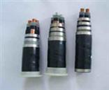 ��ѹYJV22��8.7KV/15KV��ͭо������װ���׵�������