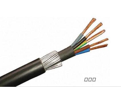 低烟无卤耐火铠装电缆-WDZN-YJY22