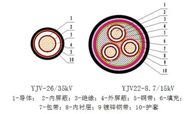 26/35kV½ϩԵ½ṹͼ