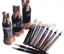 ϾԵ͸µ FF46FF46-22ZR-F46FVZR192-FF46P
